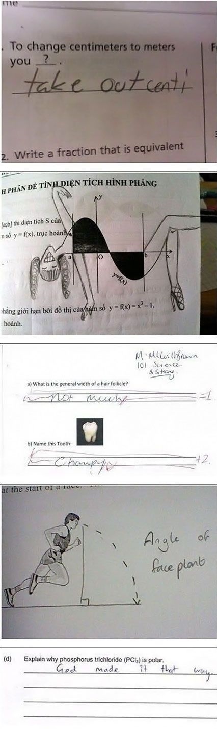 funny test answers fails