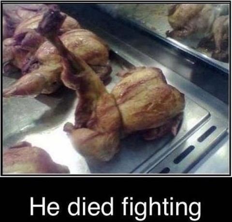 Funny Friday: He Died Fighting - Happy, Healthy & Prosperous
