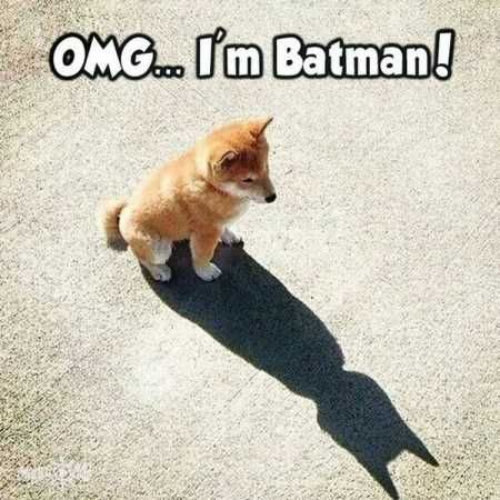 Funny Friday: OMG...I'm Batman! - Happy, Healthy & Prosperous