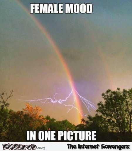 Funny Friday: Female Mood - Happy, Healthy & Prosperous Funny Friday: Female Mood - Happy, Healthy & Prosperous