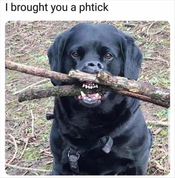 Funny Friday I brought you a phtick - Happy Healthy  Prosperous